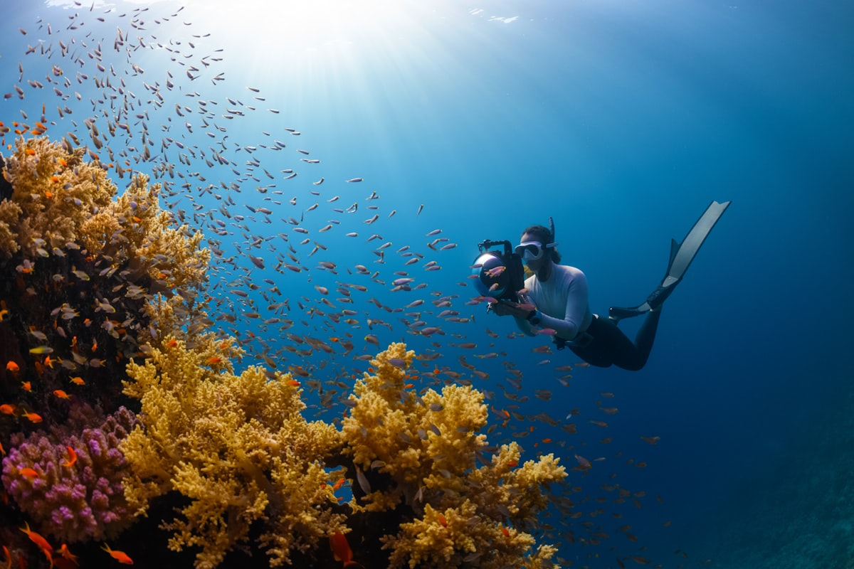 Beginner-friendly scuba support for a non-swimmer at Netrani Island